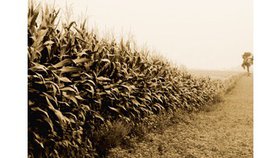 La Grâce qui restaure 7/10 - (message)