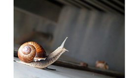 Remets ton sort à l’Éternel !