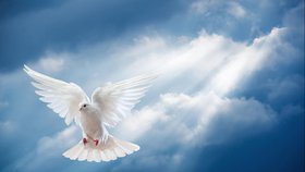 L’Esprit du Seigneur est avec nous et en nous