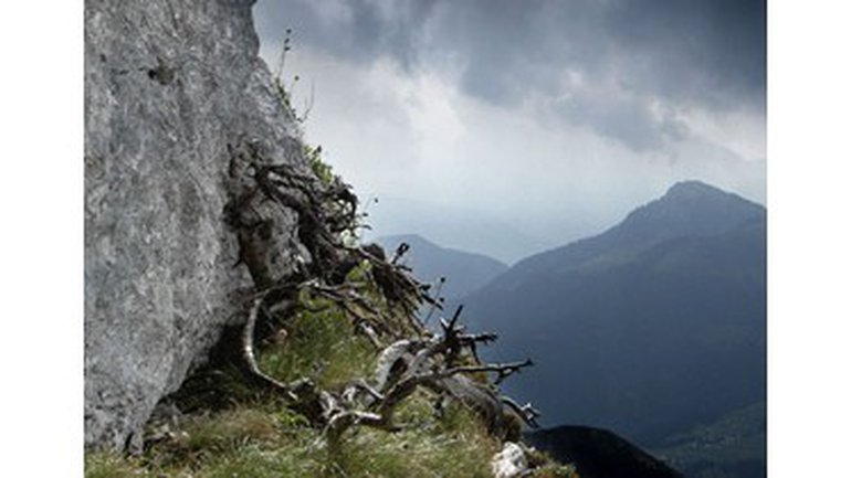 Misère dans l'abondance