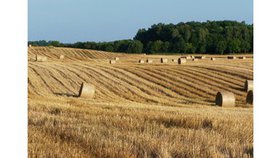 Trois preuves d'amour du Berger