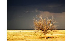 Dieu cherche à nous émouvoir