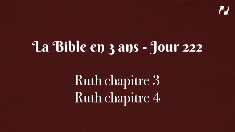 La Bible en 3 ans - Jour 222