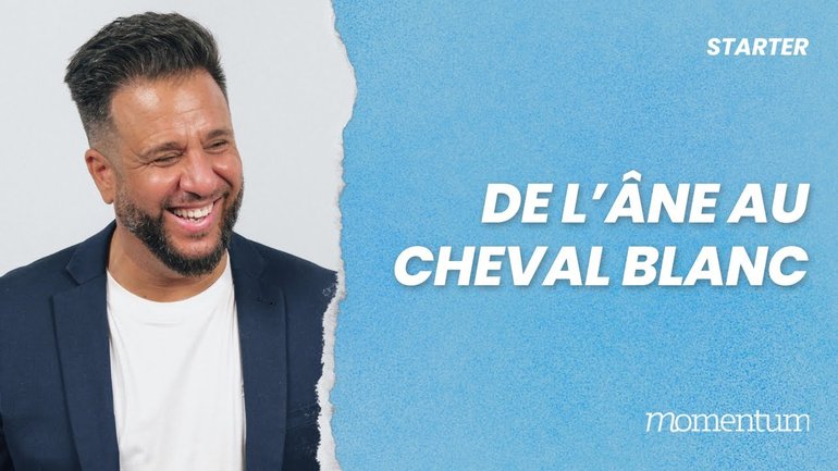 De l'âne au cheval blanc