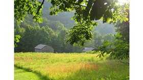 Que faire quand la réponse tarde ?
