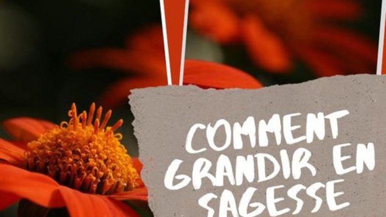 COMMENT GRANDIR EN SAGESSE   -  Anibal RODRIGUEZ