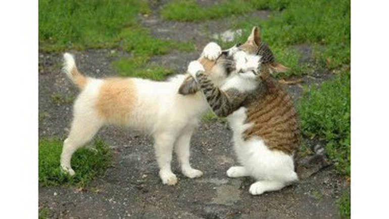 Un couple qui dure !