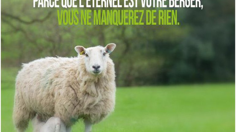 Mon ami(e), mon Dieu pourvoira à tous vos besoins