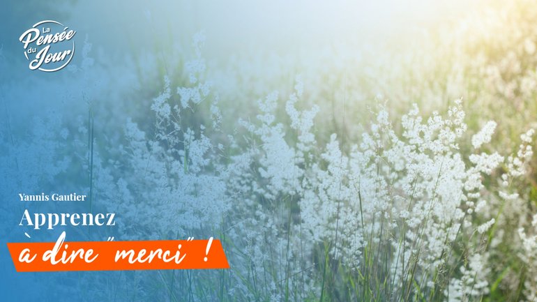 Apprenez à dire « merci »