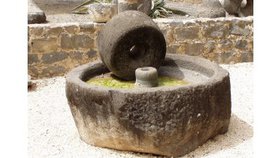 Une olive pressée