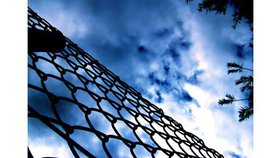 La culpabilité et la grâce 2/10 - (Message)