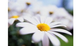 Trois raisons à nos épreuves