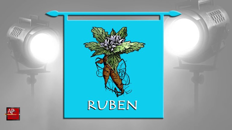 S05E06 LA TRIBU DE RUBEN (1RE PARTIE)