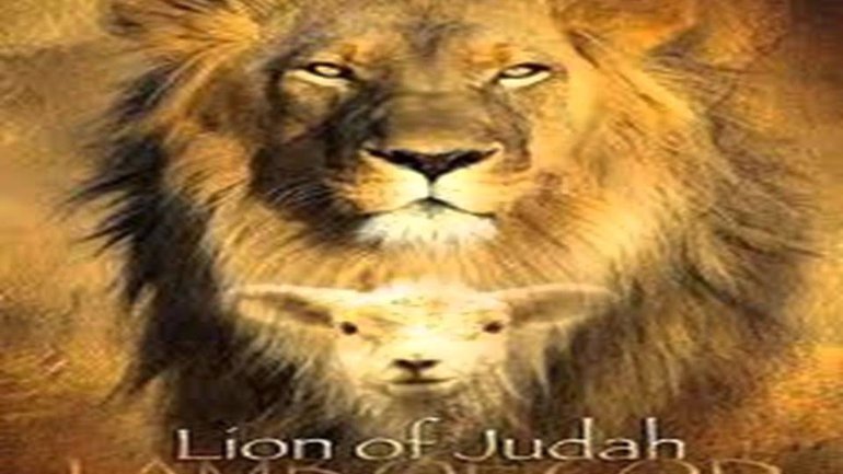 Stéphane Quéry - Lion de juda