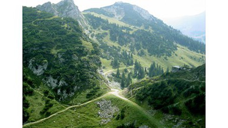 De la débauche à l'embauche