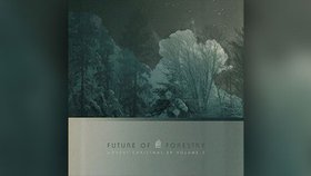 Future Of Forestry en mode Noël hors-normes