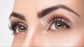 Le regard