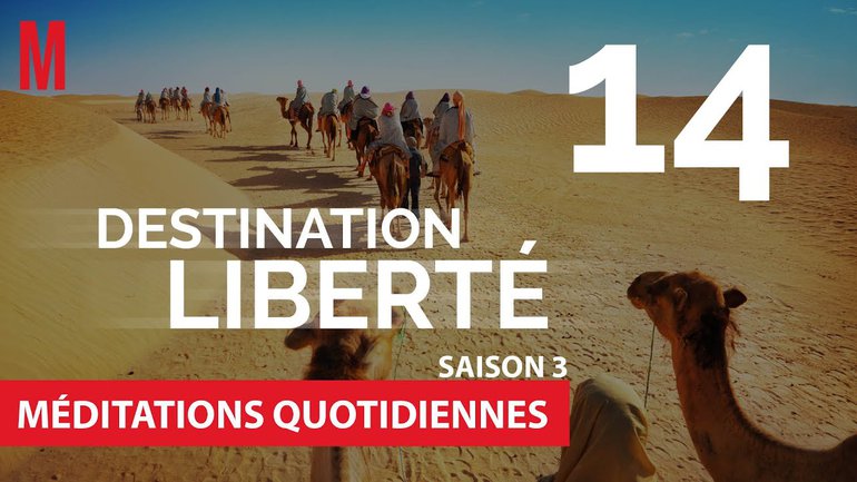 Destination Liberté (S3) Méditation 14 - Aller voir courageusement -Jean-Pierre Civelli - Église M