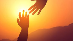 De la chute au salut : un parcours tout en versets bibliques