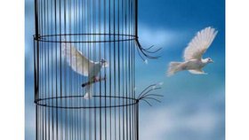 Le grand ordre de mission