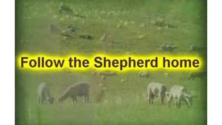 Mindy Smith - Follow the Shepherd Home