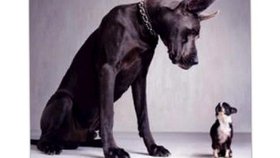 7-5 Dan 4 déclencheurs de l'intimidation