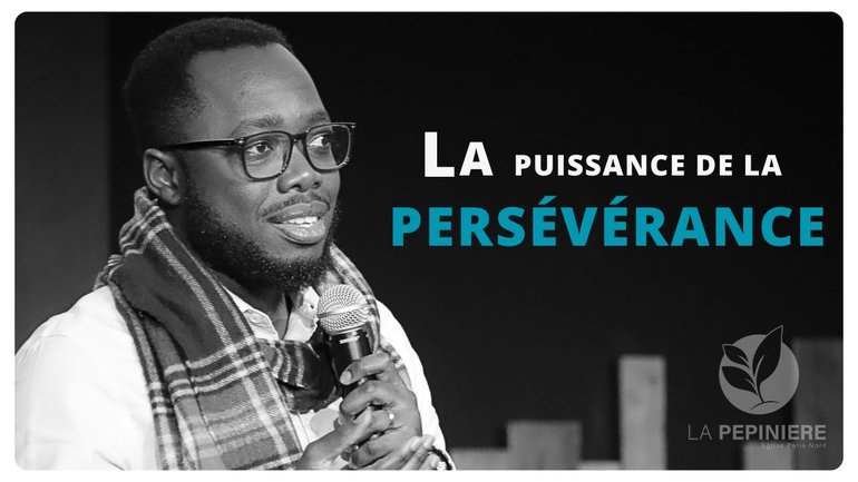 LA PUISSANCE DE LA PERSÉVÉRANCE - Donald NANTHE