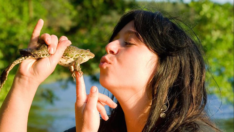 Notre travail…?  Embrasser des grenouilles !