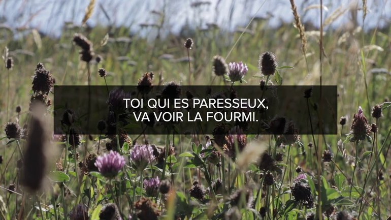 Proverbes Lecture #9 -  Chapitre 6 versets 1 à 15
