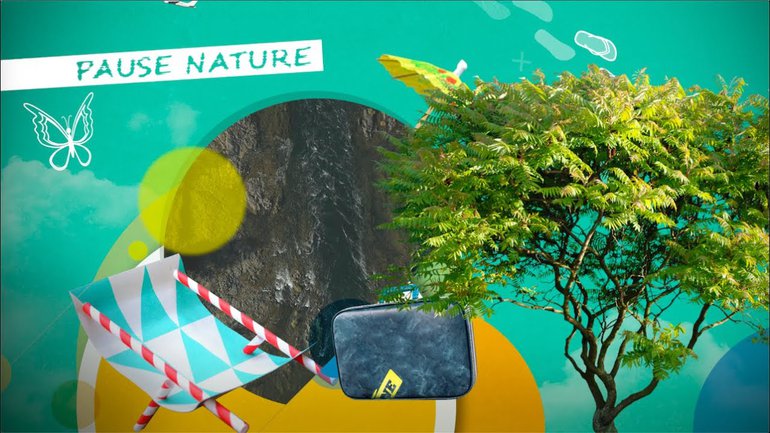 Pause Nature - Psaumes 104:11-21