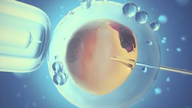 Les chrétiens peuvent-ils faire appel à la “Fécondation In Vitro” ?