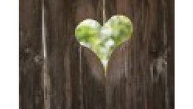 Le Coeur