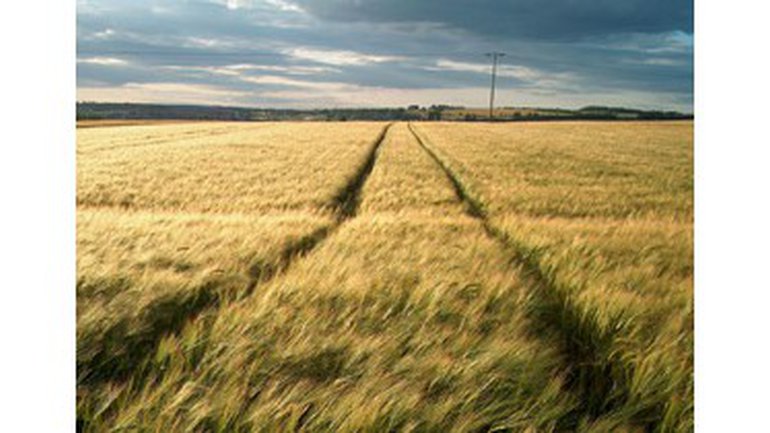 Hasard ou providence ?